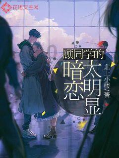 乌兰察布市清洁能源装机规模实现历史性突破